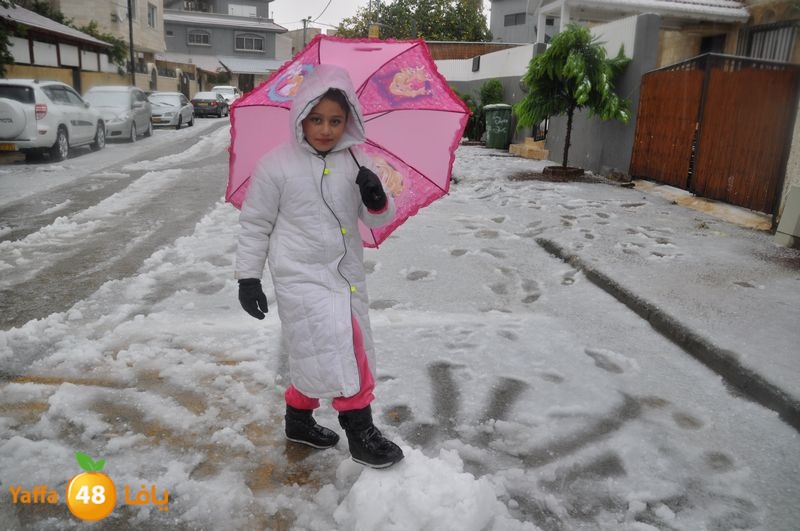 iceman lud 1213 (33).jpg.jpg